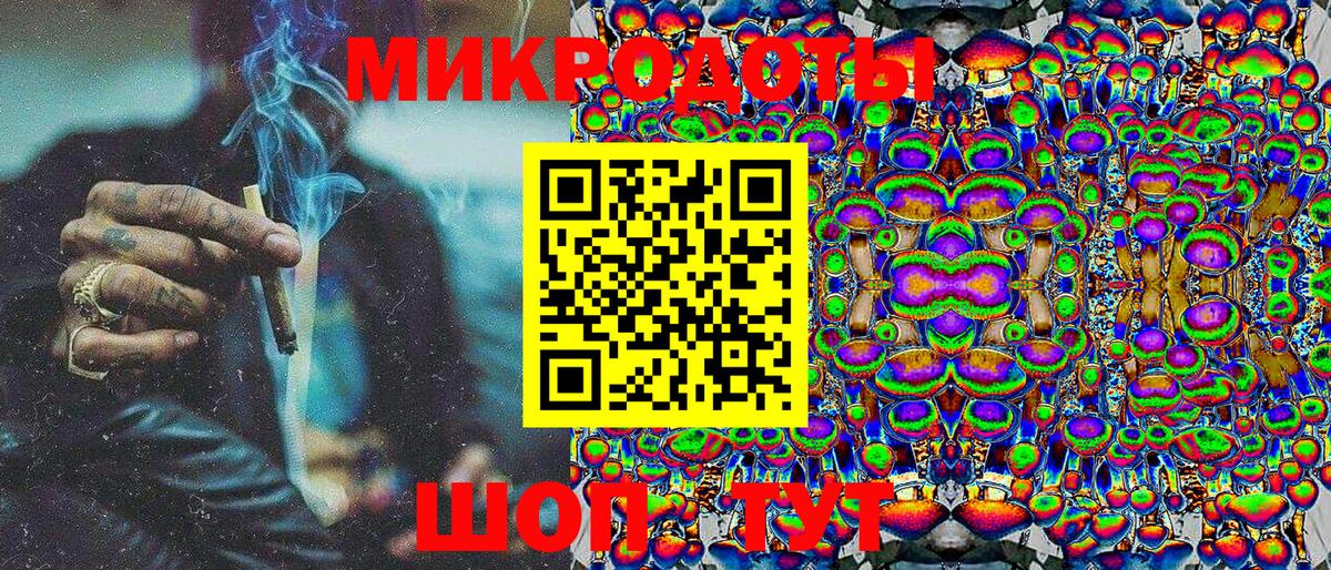 Псилоцибиновые грибы Psilocybine cubensis Тутаев