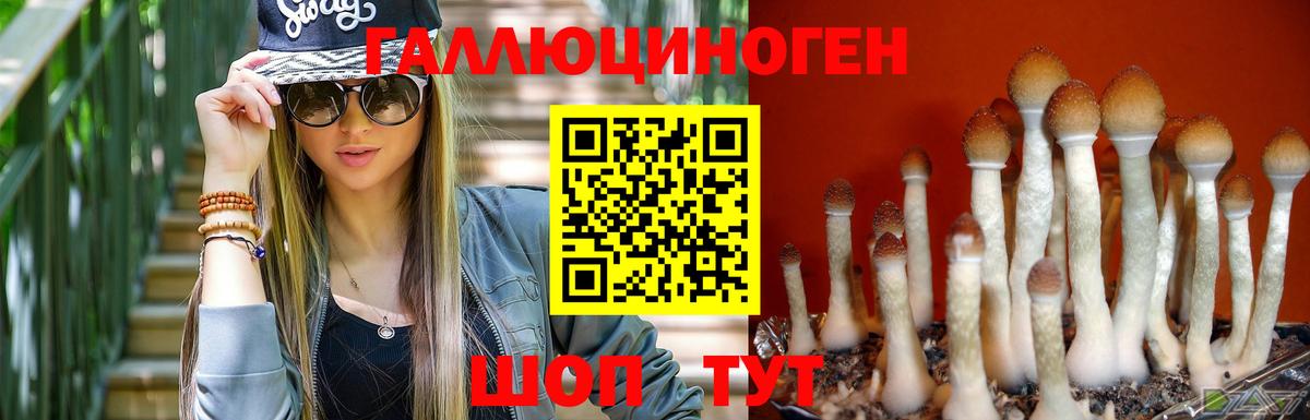 Галлюциногенные грибы GOLDEN TEACHER  Вход с VPN  Тутаев 